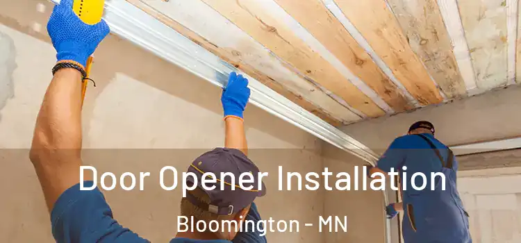  Door Opener Installation Bloomington - MN