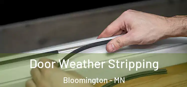  Door Weather Stripping Bloomington - MN