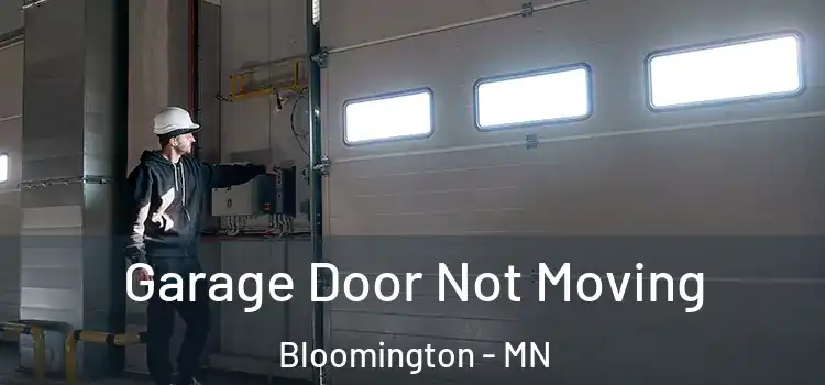  Garage Door Not Moving Bloomington - MN