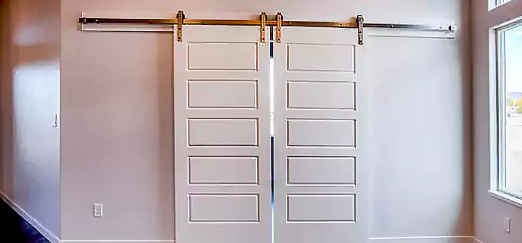 Glass Barn Door with Installation Hardware Kit Bloomington