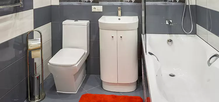 Hansgrohe Shaving Mirror Bloomington