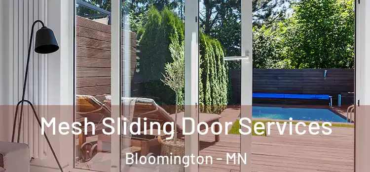  Mesh Sliding Door Services Bloomington - MN