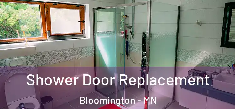  Shower Door Replacement Bloomington - MN